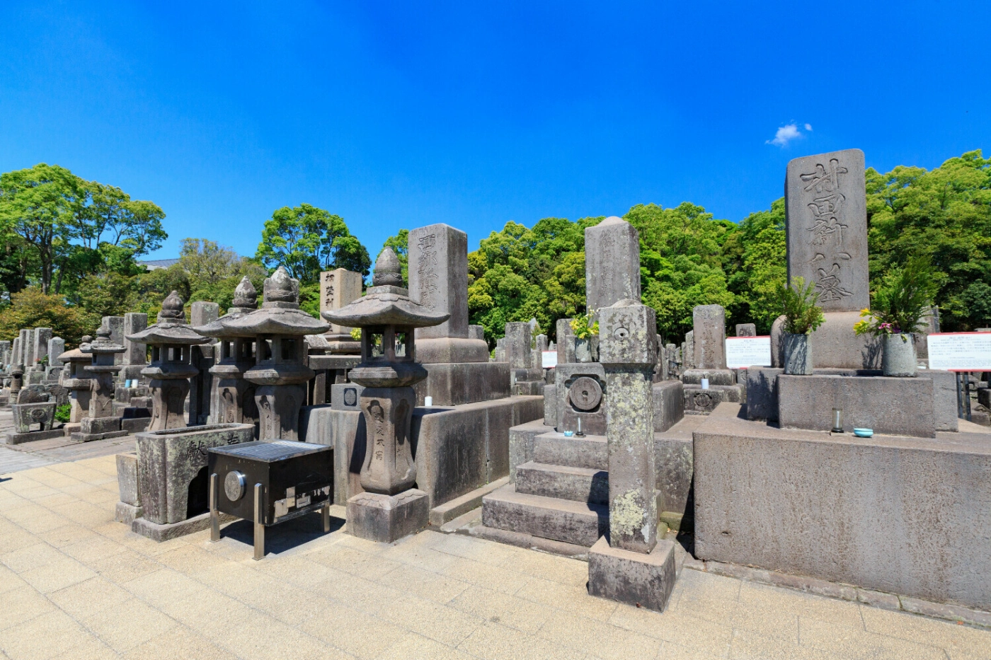 大きな墓石が立ち並ぶ墓地